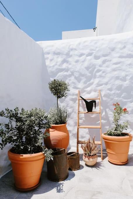 Photo of Others in South Rhodes