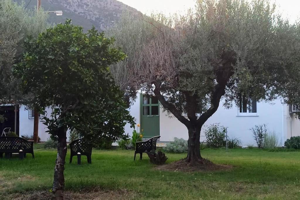 Photo of Others in Gefira Mpania