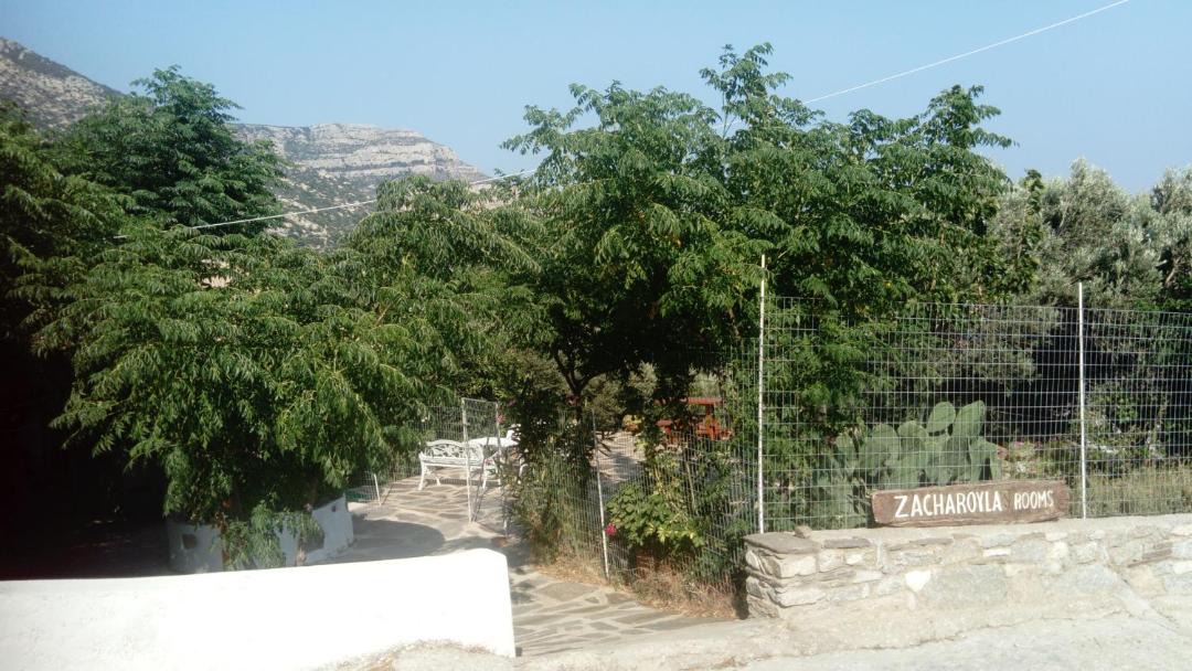 Photo of Others in Armenistis
