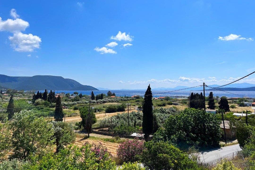 Photo of Others in Nea Styra