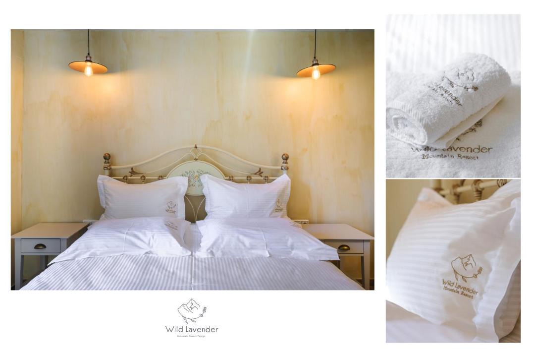 Photo of Others in Papigo