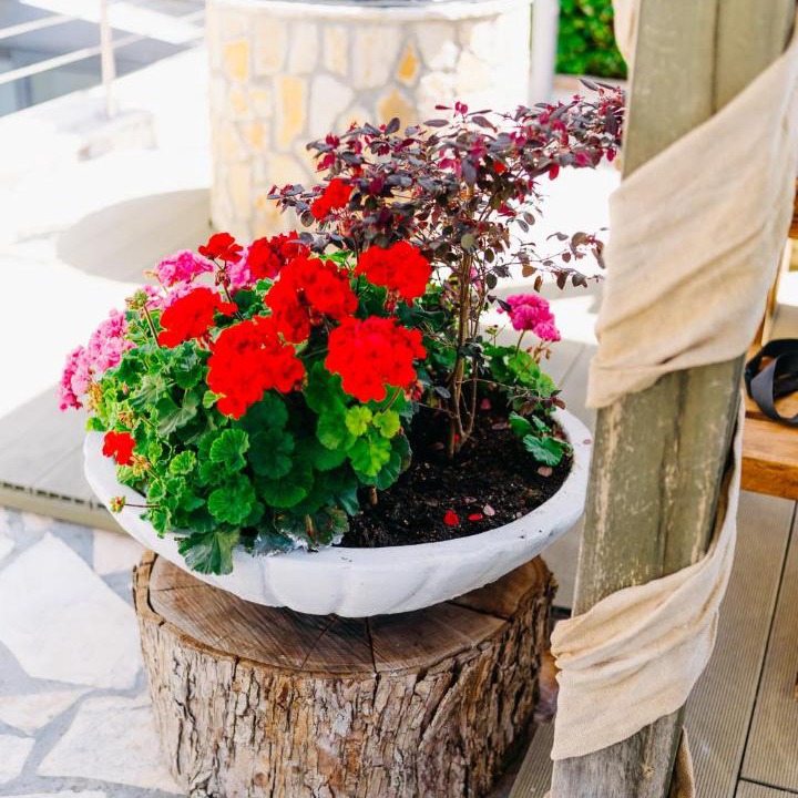 Photo of Patio Balcony in Kourouta