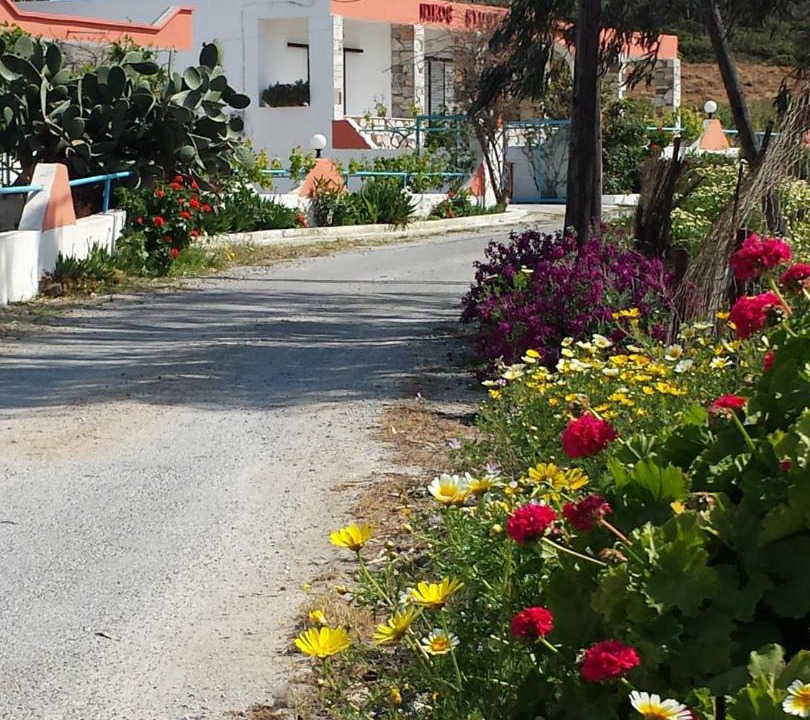 Photo of Others in Kefalos