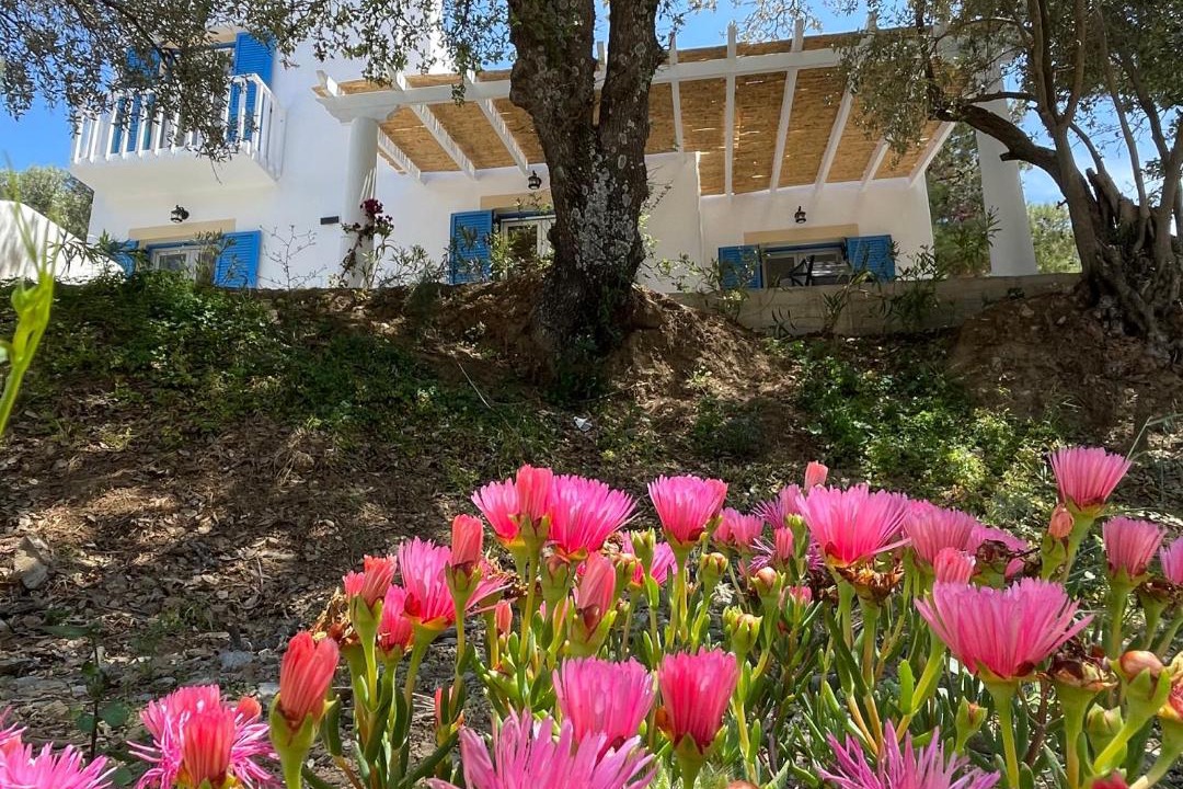 Photo of Others in Leros