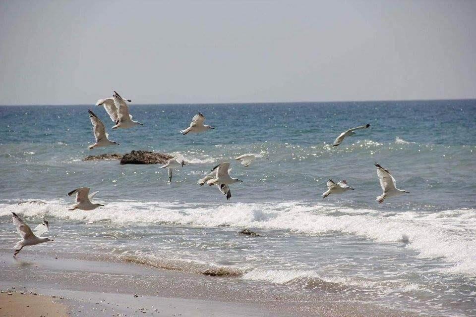 Photo of Others in Zalongo