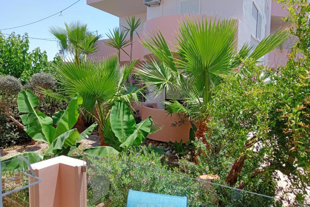 Photo of Others in Kissamos
