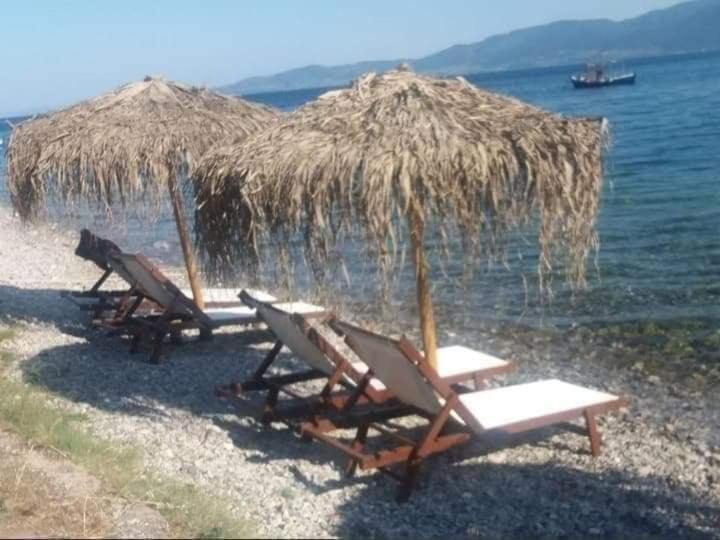 Photo of Others in Lichada