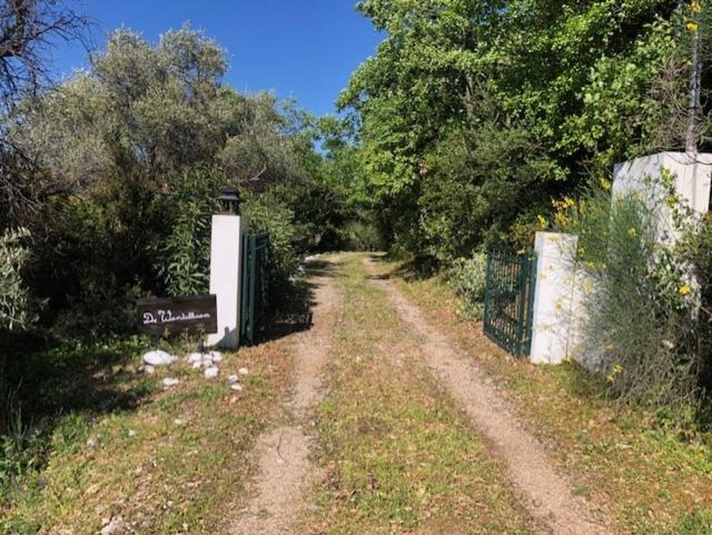 Photo of Others in Kiparissia
