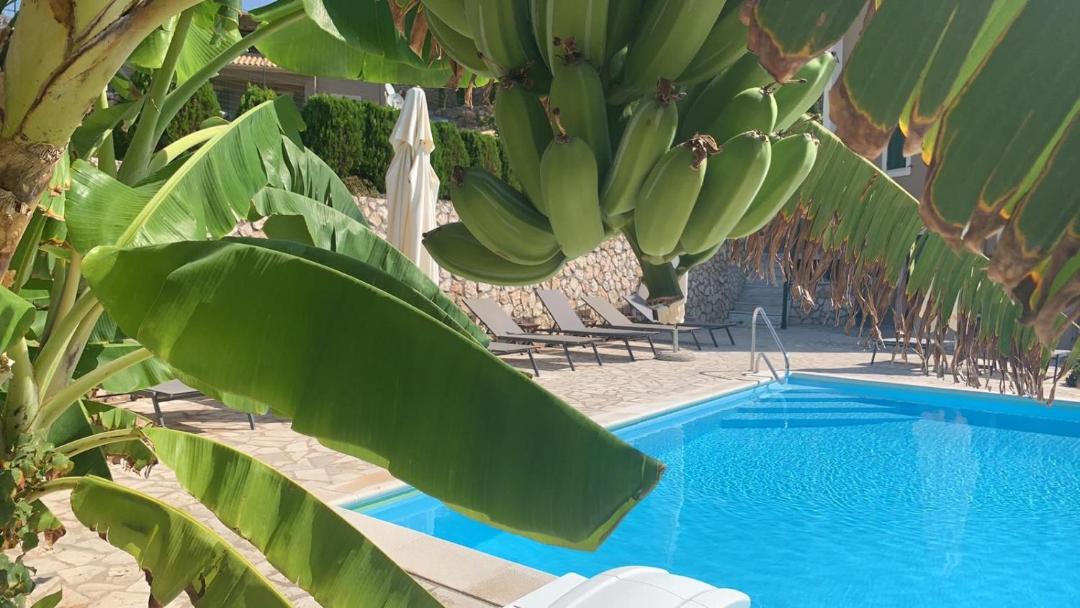 Photo of Others in Argostoli