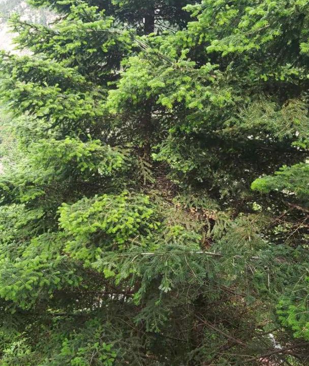 Photo of Outdoor in Melissourgoi