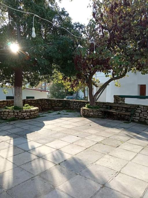 Photo of Others in Vizari