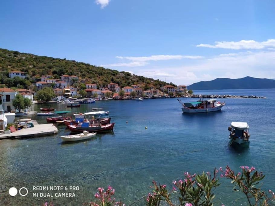 Photo of Outdoor in Trikeri