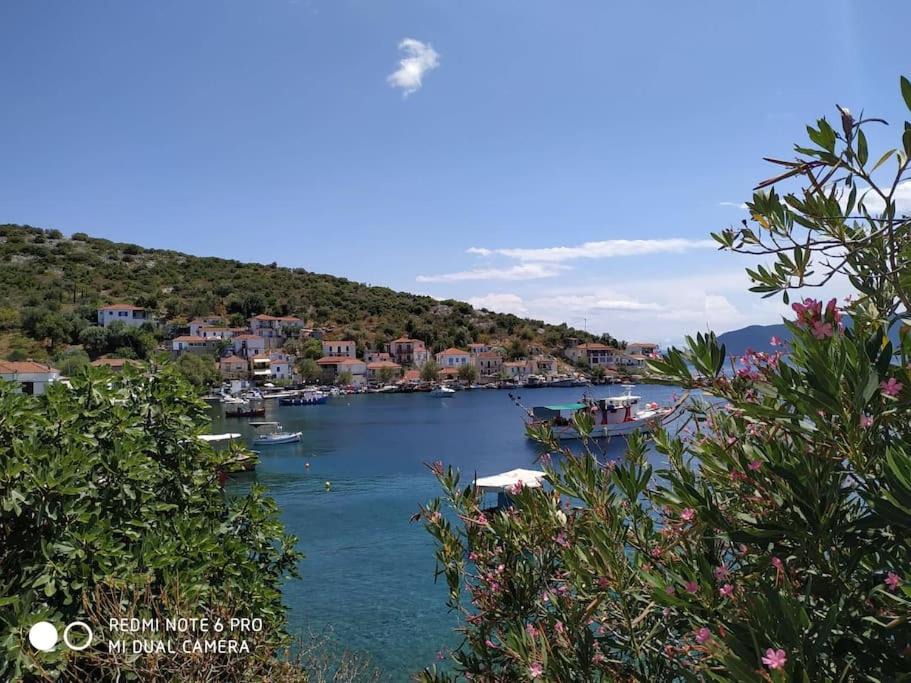Photo of Outdoor in Trikeri