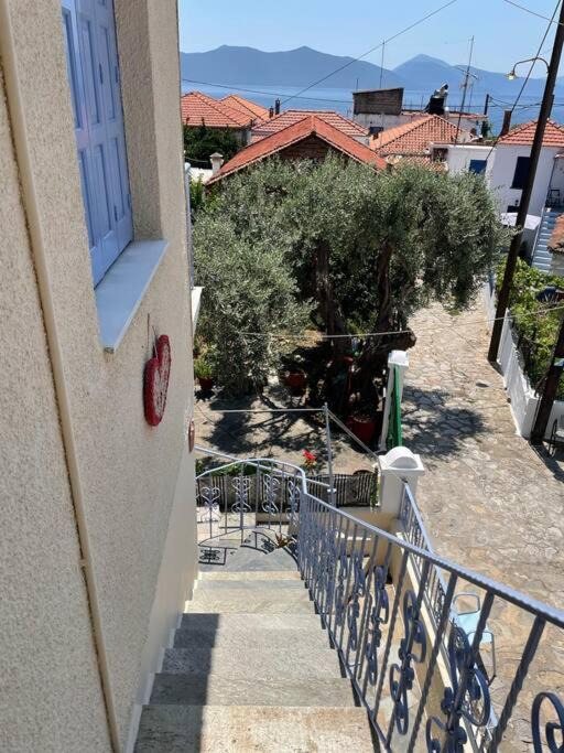 Photo of Others in Trikeri