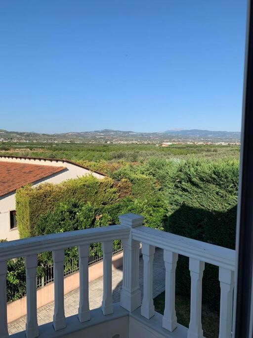 Photo of Patio Balcony in Velon