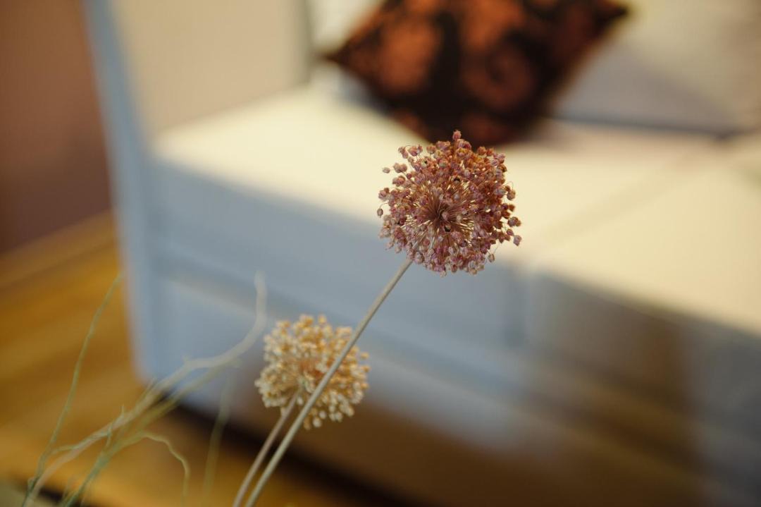 Photo of Others in Levidhion