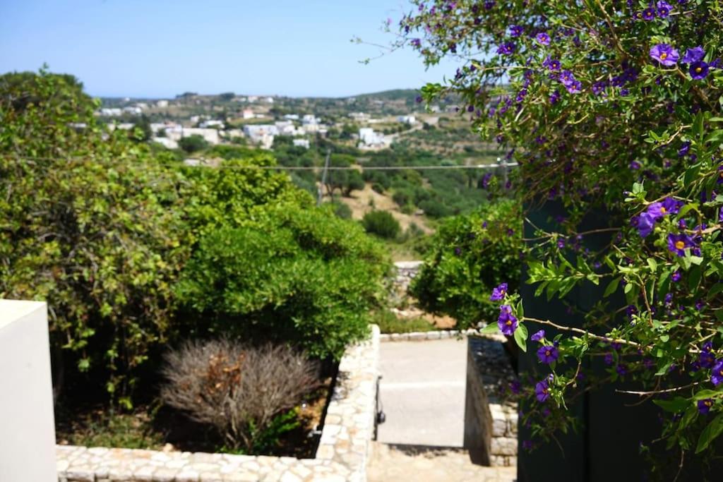 Photo of Others in Kithira