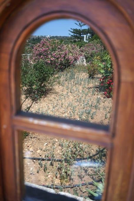 Photo of Others in Kithira