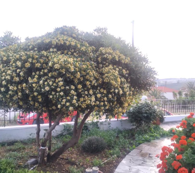Photo of Outdoor in Tavari