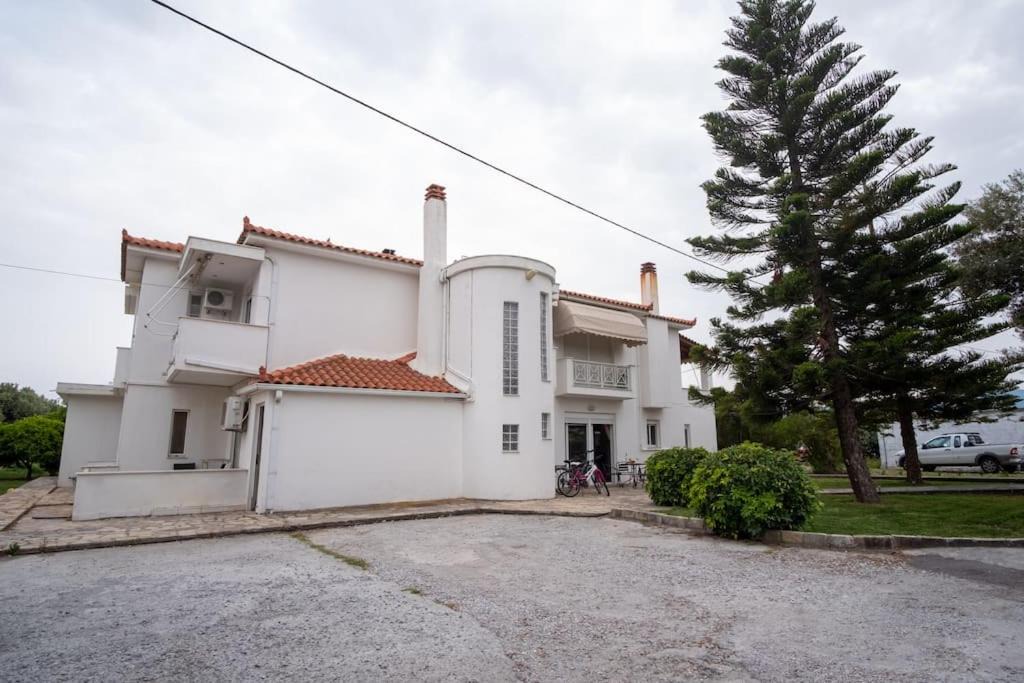 Photo of Buildings in Potokaki