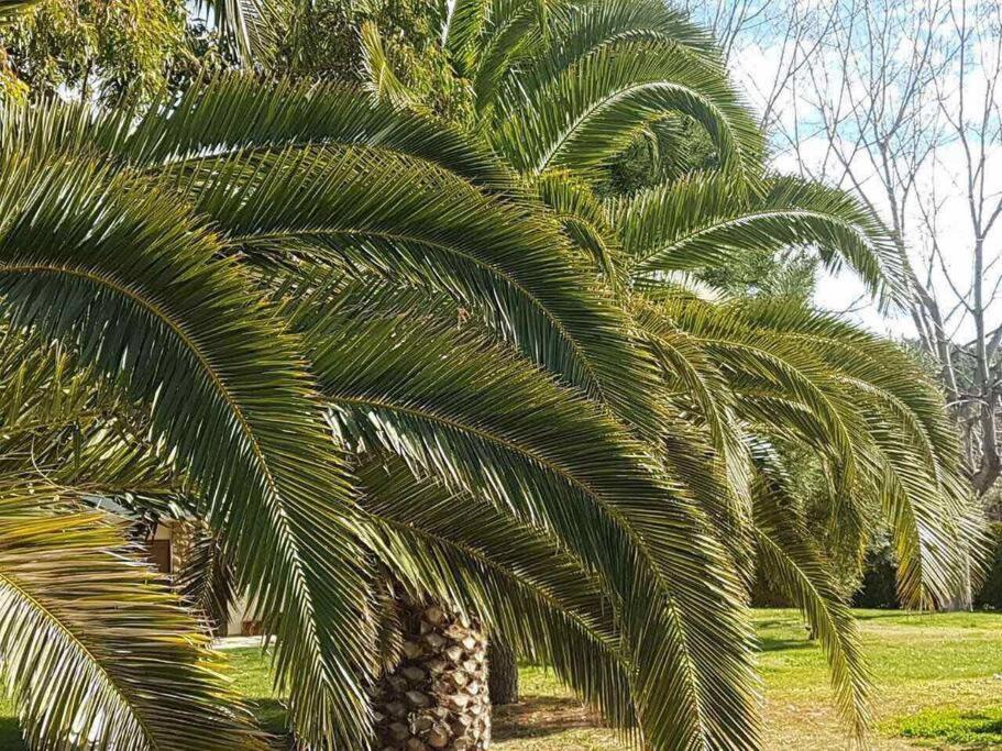 Photo of Outdoor in Porto Carras