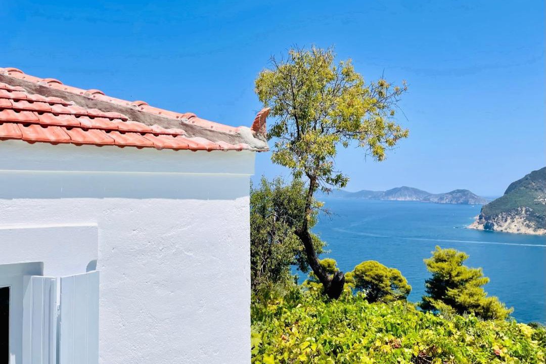 Photo of Others in Skopelos Town