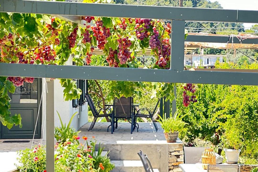 Photo of Others in Samos