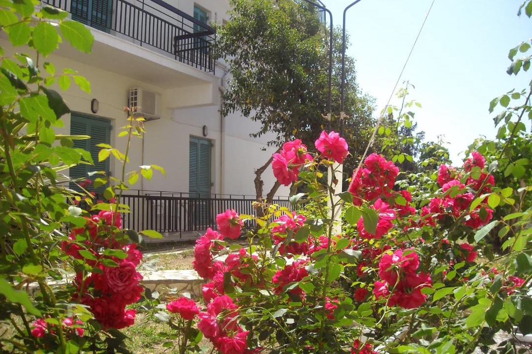 Photo of Buildings in Roda