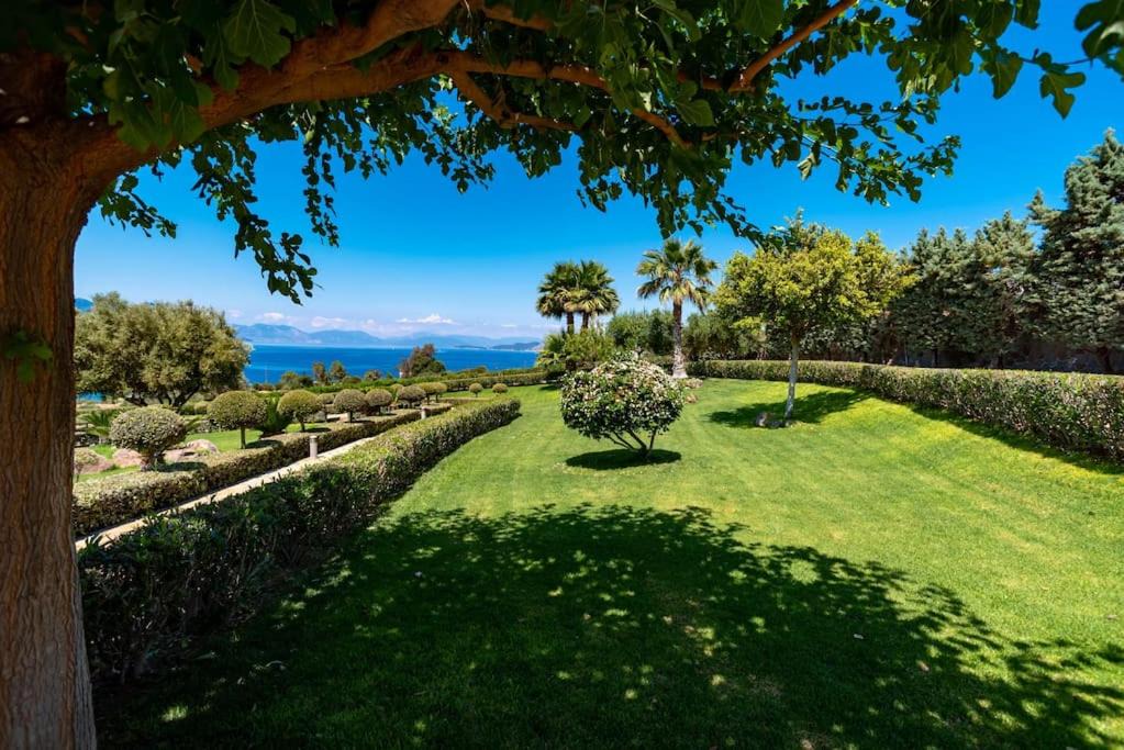 Photo of Outdoor in Kontos