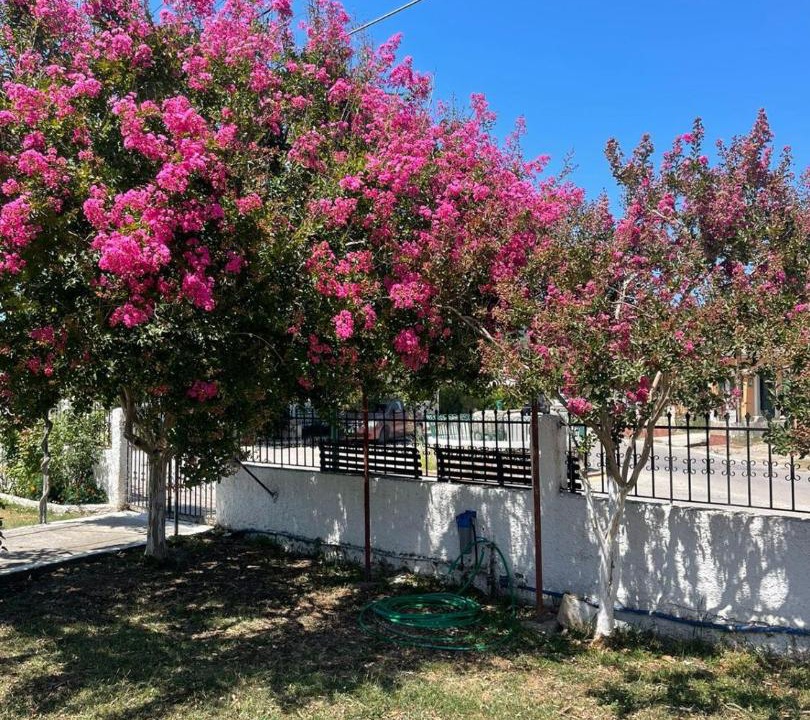 Photo of Others in Peroulades