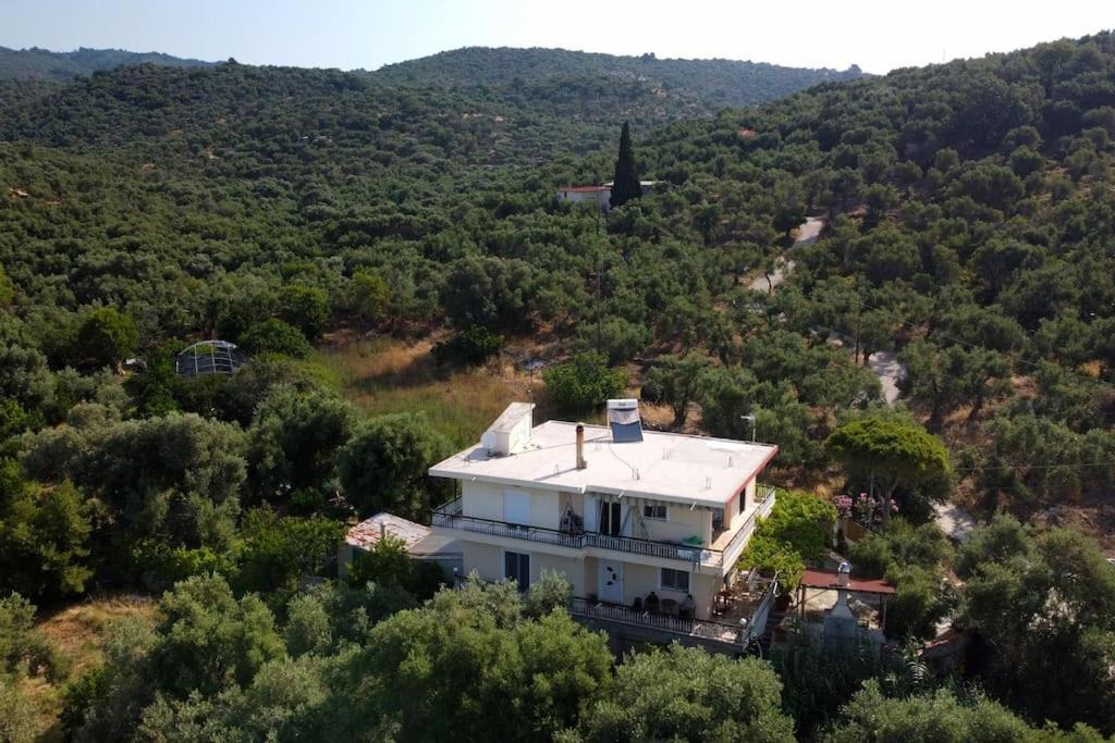 Photo of Others in Plomari