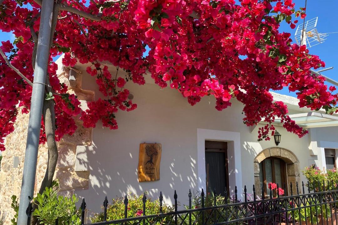 Photo of Buildings in Monopari