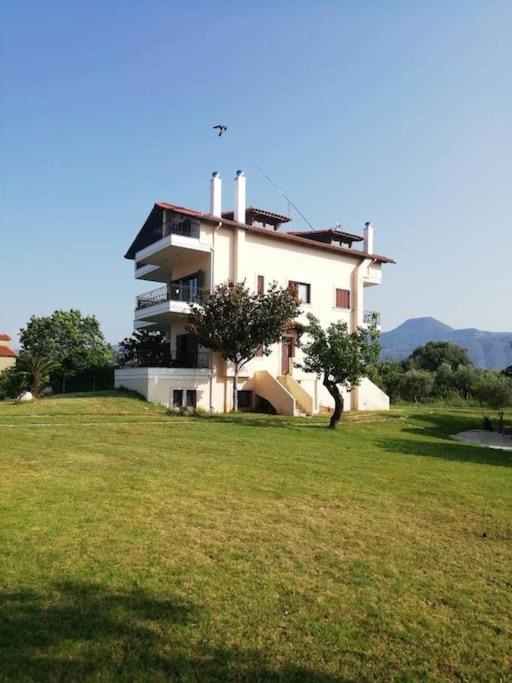 Photo of Buildings in Aigio