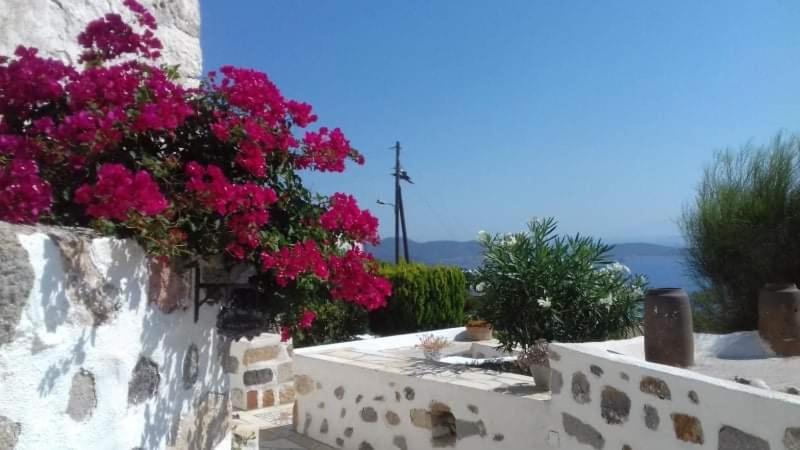 Photo of Others in Chora