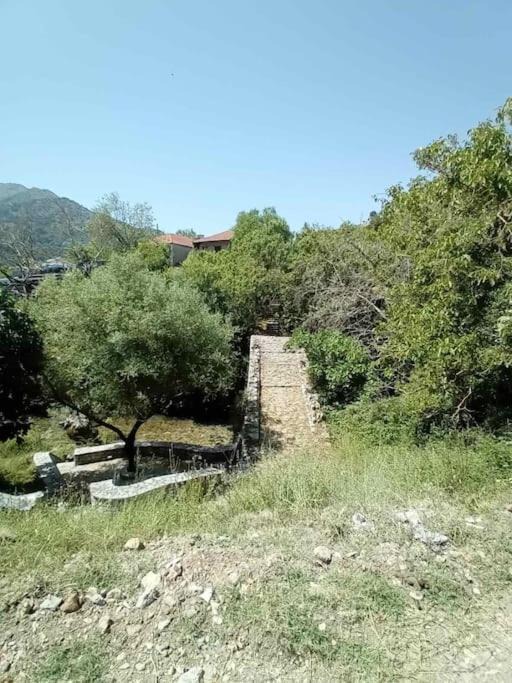 Photo of Others in Dimitra Arkadias