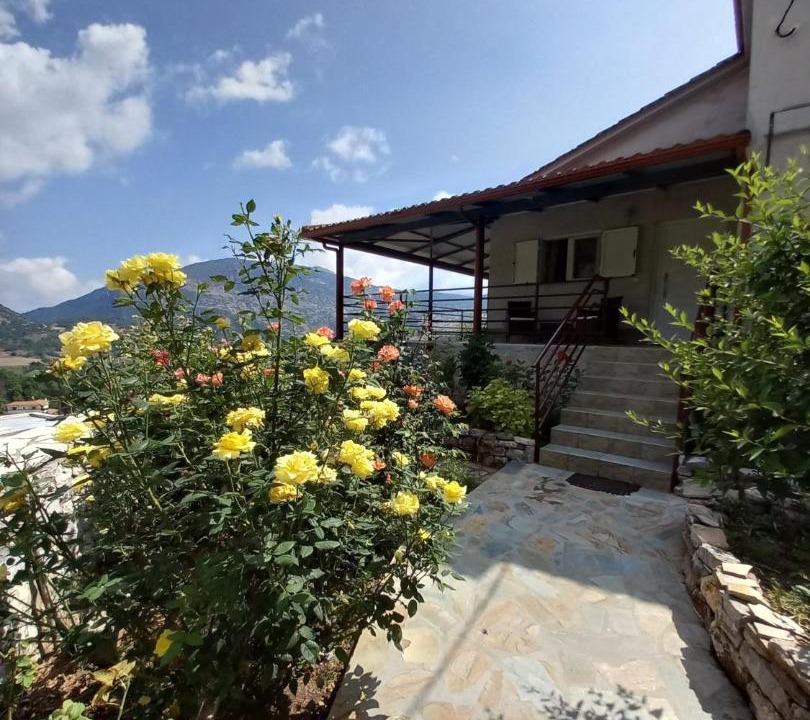 Photo of Buildings in Plataniotissa