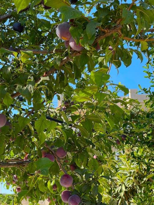 Photo of Others in Heraklion