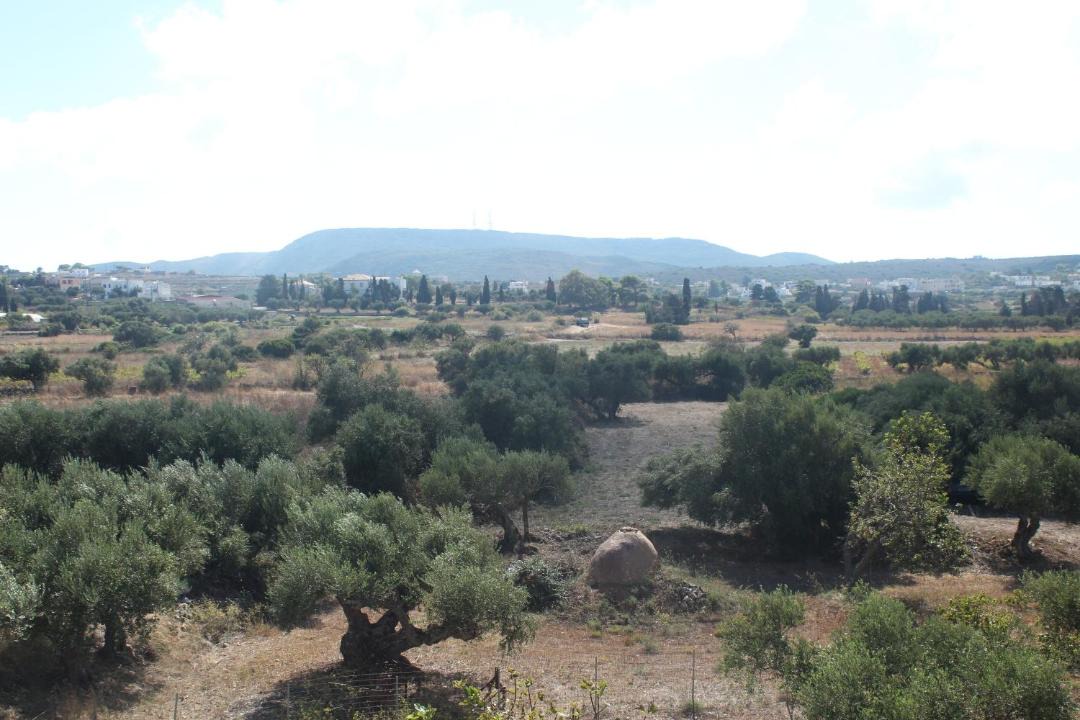 Photo of Others in Kithira