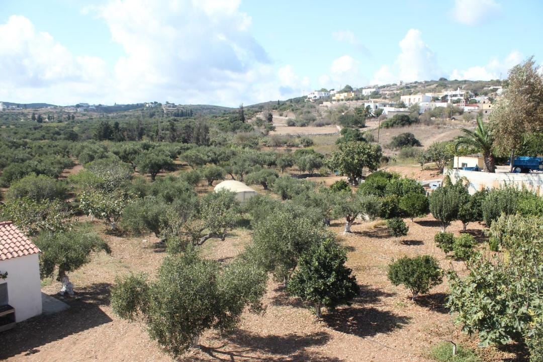 Photo of Others in Kithira