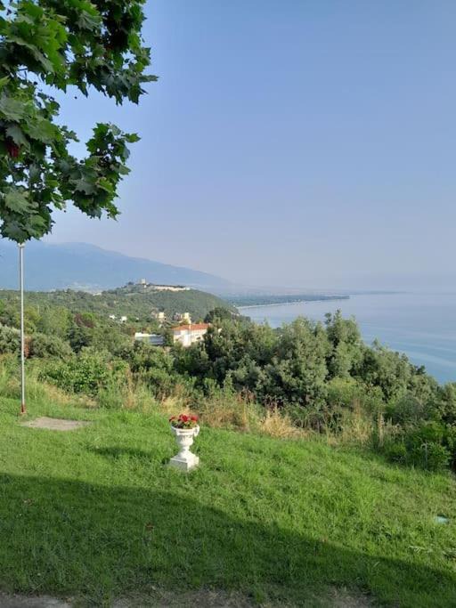 Photo of Outdoor in Anatolikos Olimpos