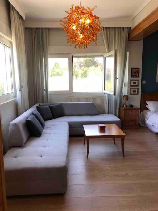 Photo of Livingroom in Plagiarion