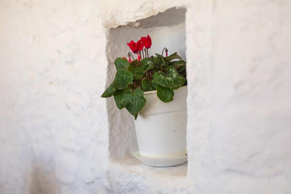 Photo of Others in Paros
