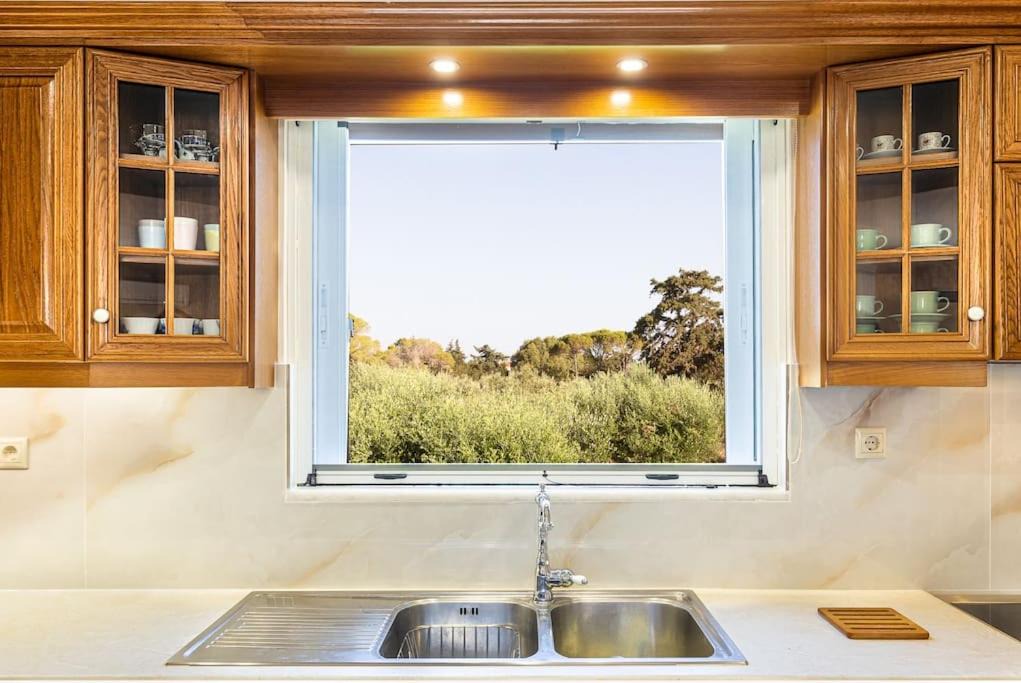 Photo of Others in Akrotiri