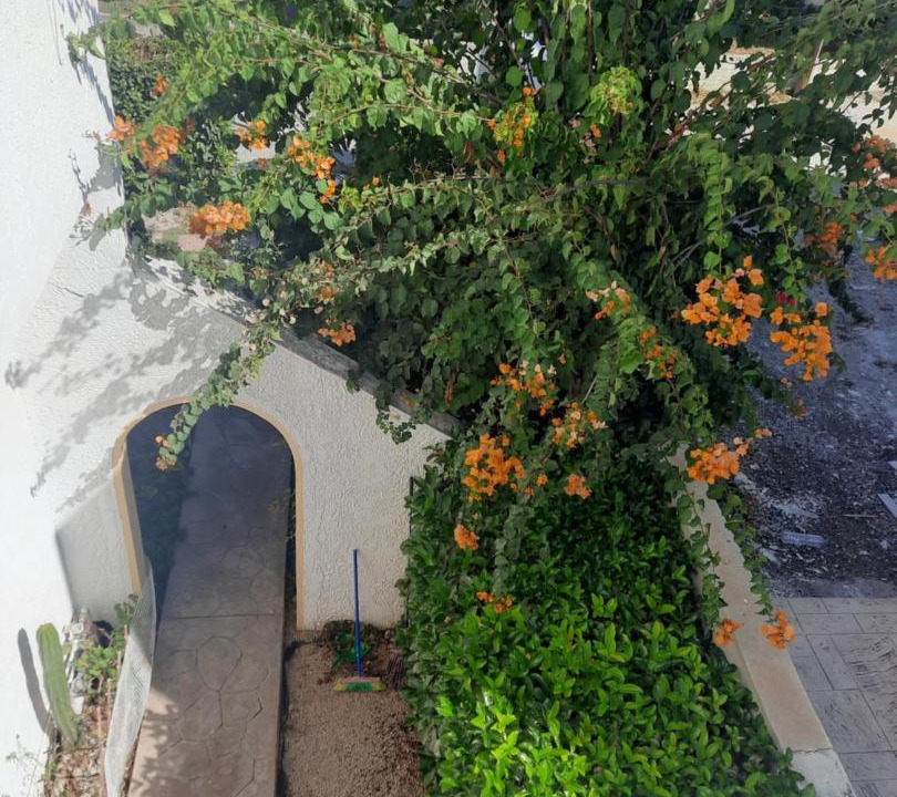 Photo of Others in Petaloudes