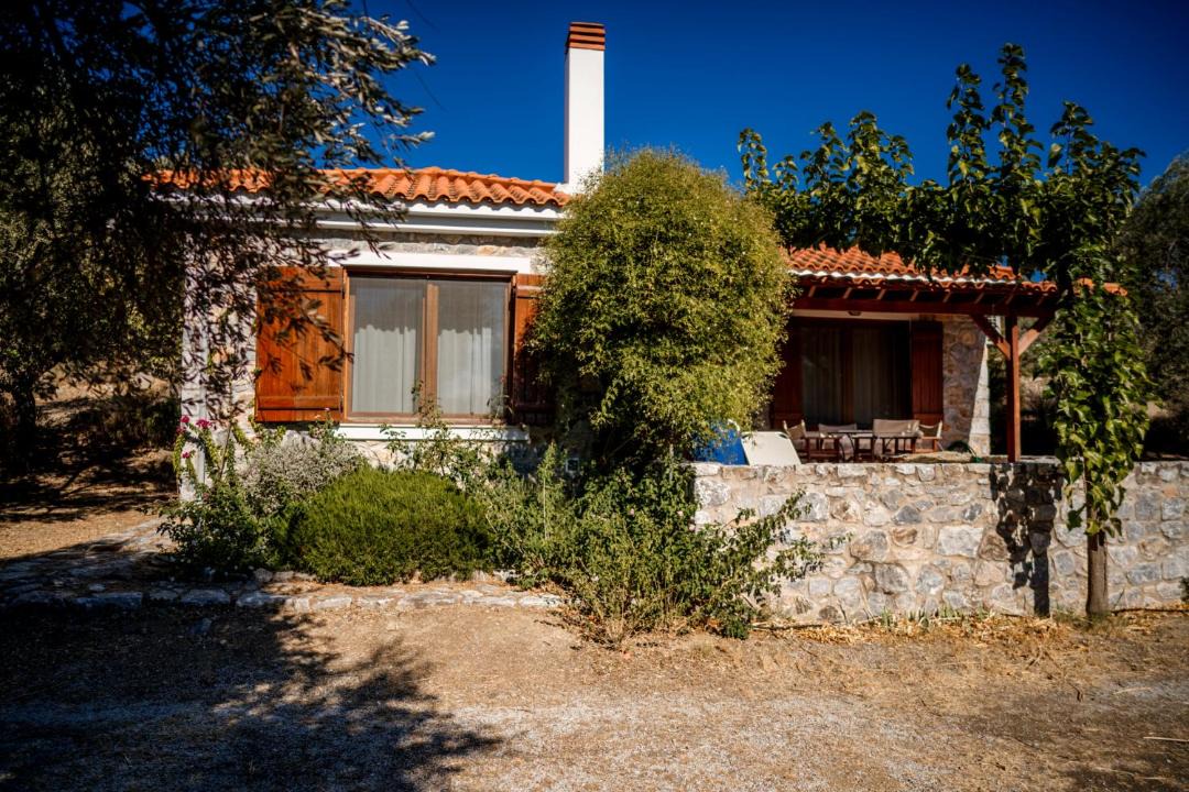 Photo of Others in Mytilene