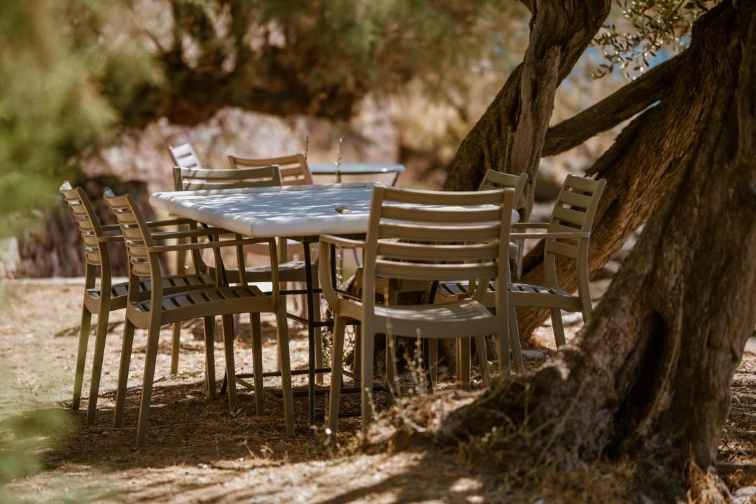 Photo of Others in Mytilene