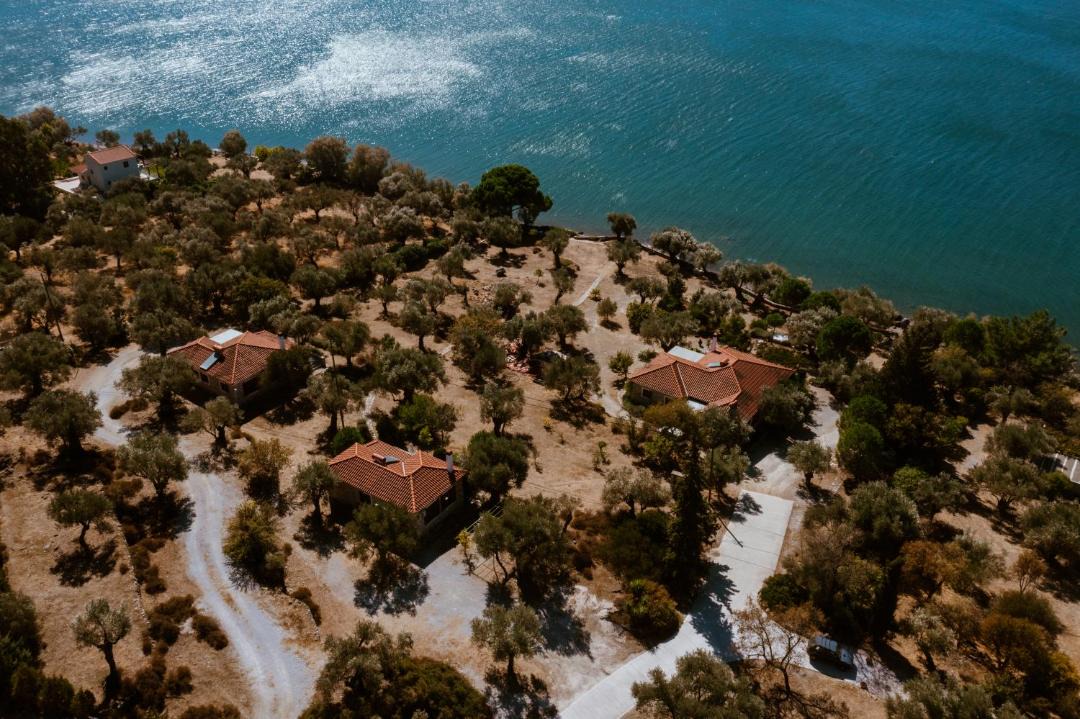 Photo of Others in Mytilene