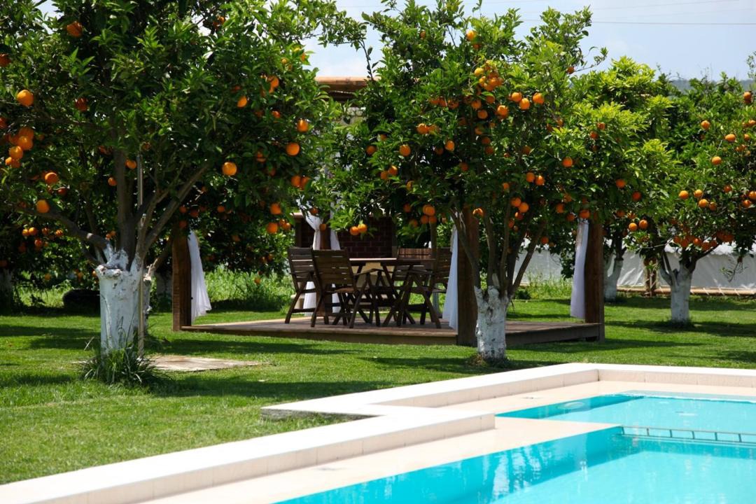 Photo of Others in Platanias