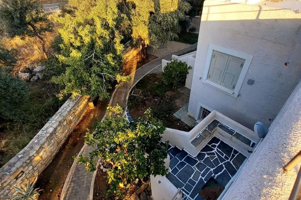 Photo of Others in Paralia