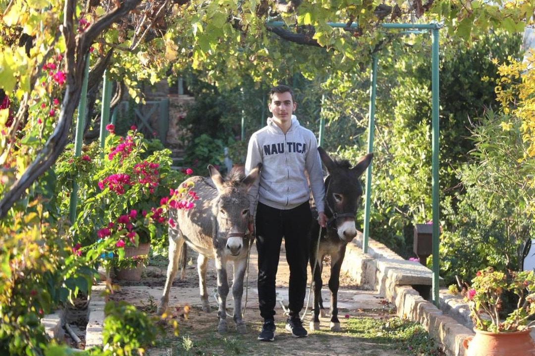 Photo of Human In Picture in Agios Minas